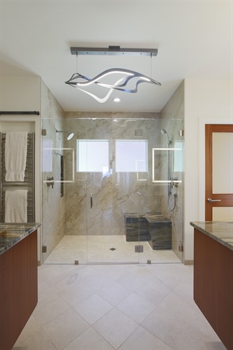 Contemporary Shower