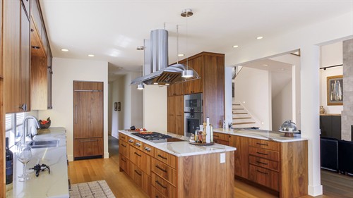 Contemporay Kitchen