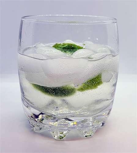 Gin and Tonic with Bitters