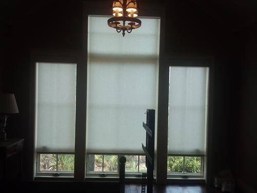 Manual Roller Shades