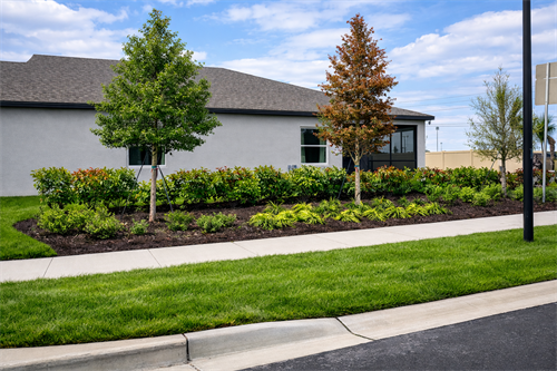 Gallery Image Applewood_Image_Feb_28._2026._06_41_43_AM.png