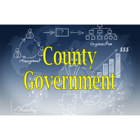 County Government June 2020