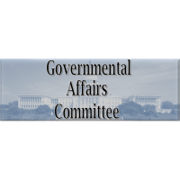 Governmental Affairs Committee February 2022