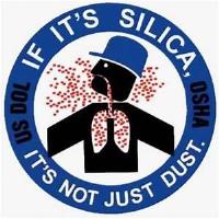 Silica Training