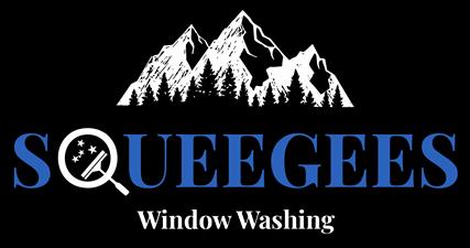 Squeegees Window Washing