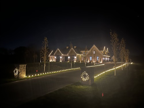 Holiday Lights