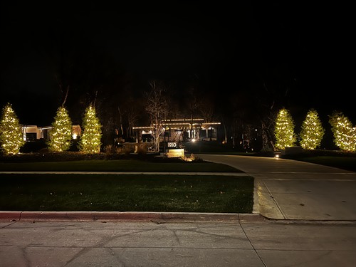 Holiday Lights