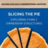  2023 - Exploring Family Ownership Structures: Slicing the Pie