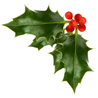 Membership Holiday Party