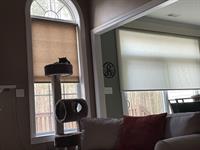 Privacy Roller Shades, on a Remote, and App- Lake Wylie 