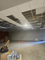 Gallery Image Ceiling_2.jpg