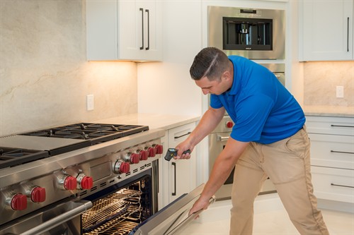 Appliance Inspection