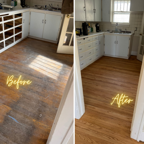 Gallery Image Sciabarrassi1.png