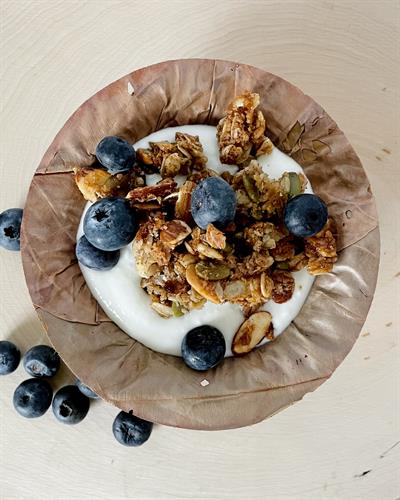 Original Grounded Granola with Yogurt & Fresh Blueberries