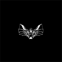 Widow LLC Widow LLC