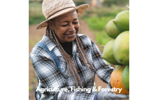 Agriculture, Fishing & Forestry