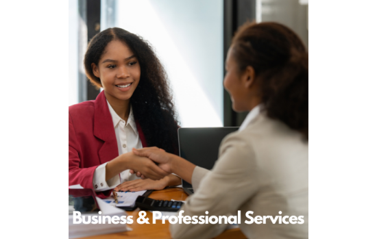 Business & Professional Services