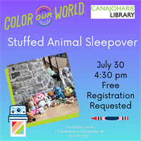 Stuffed Animal Sleepover at The Canajoharie Library