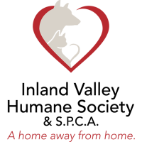 Paws 4 Pets Walk 2026 - Presented by Royal Canin