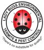 Lady Bugs  Termite & Pest Control