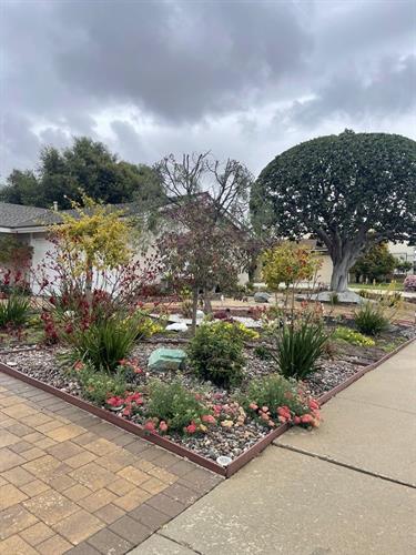 Award winning Curb appeal - Landscaping Project