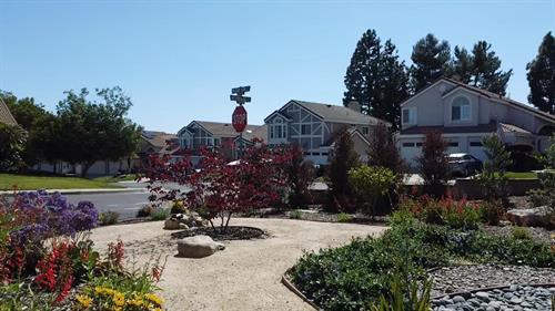 Award winning - Drought tolerant and colorful landscaping - Design and Build Project