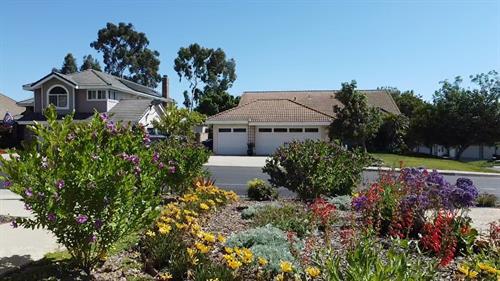 Colors and textures in waterwise landscaping - Low water, but colorful