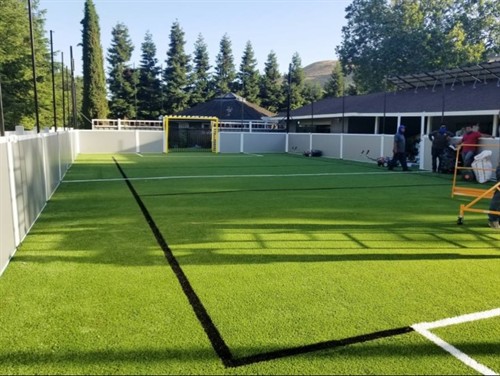 Gallery Image Turf_Plus_Pro_2.jpg