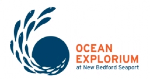 Ocean Explorium at New Bedford Seaport