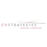 CV Strategies