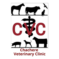 Chachere Veterinary Clinic
