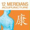12 Meridians Acupuncture