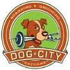 DogCity Daycare 