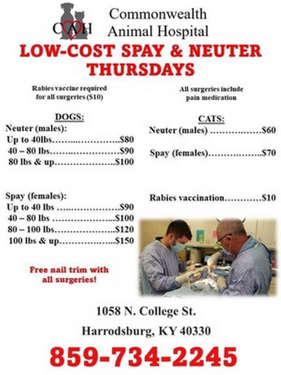 Low cost Spay & Neuter Thursdays at Commonwealth Aug 29, 2024 to Aug