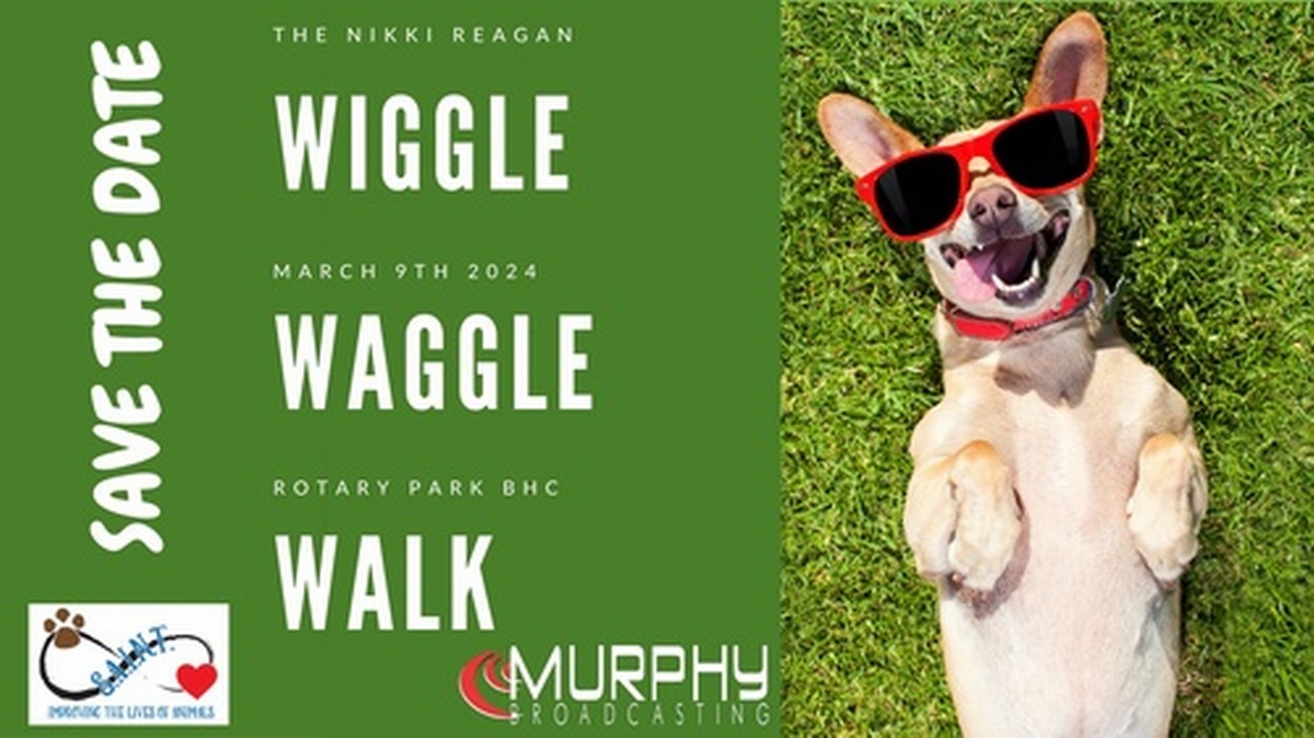 Wiggle Waggle Walk - Murphy Broadcasting& BHC Saint - Mar 9, 2024 ...