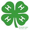 4H