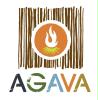 Agava