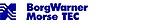 BorgWarner Morse TEC