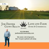 Joe Fester - Crown Realty