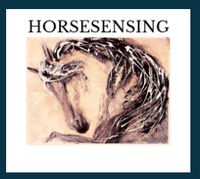 HorseSensing