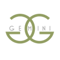 The Gemini Insurance Agency, LLC