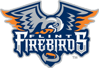 Flint Firebirds Hockey Club