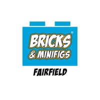 Bricks and Minifigs