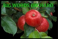 Big Woods Orchard