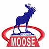 Clinton Moose 363/474