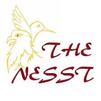 The Nesst of Noblesville