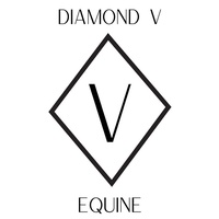 Cristy Goodrum, LMT | Diamond V Equine