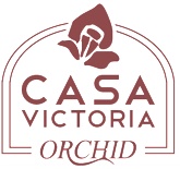 TODO