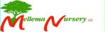 Mellema Nursery