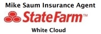 Mike Saum State Farm Insurance